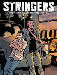 Stringers cover