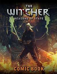 The Witcher: Reasons of State