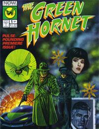 The Green Hornet (1991)